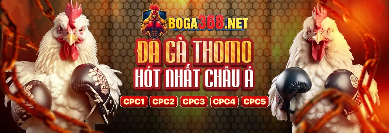 Đá gà trực tuyến kịch tính tại 69vn chính thức